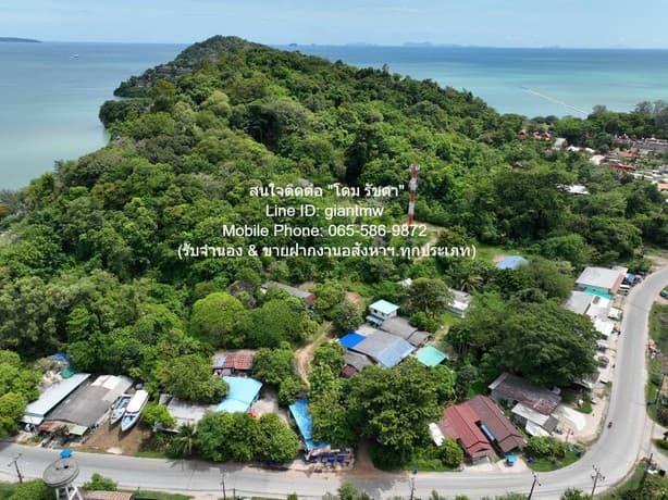 ที่ดิน ขายที่ดินสวนป่า บนเนินไหล่เขา วิวทะเล (Seaview) เกาะสิเหร่ ภูเก็ต 5-0-48.7 ไร่ (ห่างชายทะเล 100 ม.), ราคา 76,826,250 บาท (15 ล้านบาท/ไร่) 57 ตาราง.วา 1 ngan 2 Rai ใกล้กับ ห่างเทศบาลเมืองภูเก็ต ประมาณ 7 กม. เดินทางสดวกสบาย ภูเก็ต