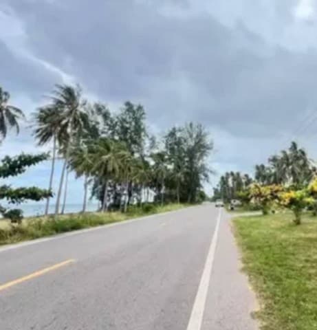 ขายที่ดิน ใกล้จุดชมวิววัดคอเขา ตำบลบางมะพร้าว อำเภอหลังสวน จังหวัดชุมพร