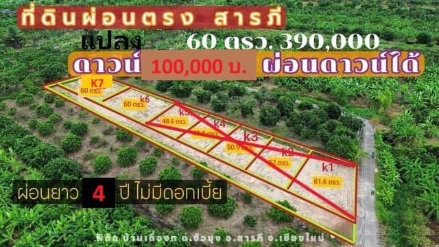 ขายที่ดินแบ่งจัดสรร 60ตรว. 390,000บ. ฟรีโอน ผ่อนได้ ถนน น้ำ ไฟฟ้า ใกล้วัดขัวมุง ต.ขัวมุง อ.สารภี เชียงใหม่
