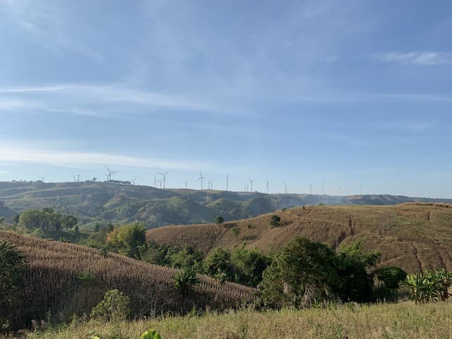 ขายด่วน ที่ดินเขาค้อ วิวกังหันลม วิวพาโนรามา 360° ตำบลทุ่งสมอ อำเภอเขาค้อ จังหวัดเพชรบูรณ์
