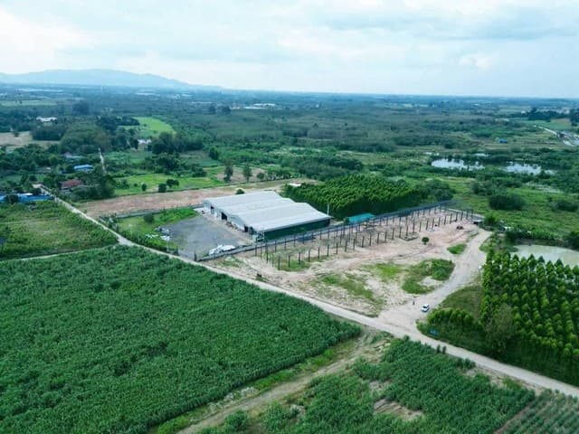 ขายโกดังขนาด 3,000 ตร.ม. บนเนื้อที่ 6ไร่ ต.หนองไผ่แก้ว อ.บ้านบึง จ.ชลบุรี