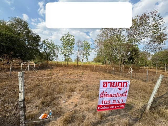 ขายที่ดินหนองสาหร่าย อำเภอปากช่อง จังหวัดนครราชสีมา เนื้อที่ 103 ตารางวา