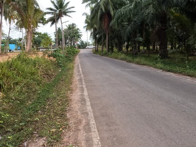 โปรปลายปีรับลมหนาวมาแล้ว ขายที่ดินใกล้หาดบางเบิด ติดถนนทางหลวง ใกล้หาด1 กม. +ขนาดที่ดิน 50-1-18 ไร่ โฉนดครุฑแดง พร้อมโอน ไร่ล่ะ 8 แสน