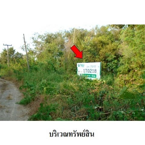 ขายที่ดินว่างเปล่าโครงการ บางไทรการ์เด้น ถนน สายปทุมธานี-สามโคก-เสนา ตำบล บางไทร อำเภอ บางไทร จังหวัด พระนครศรีอยุธยา