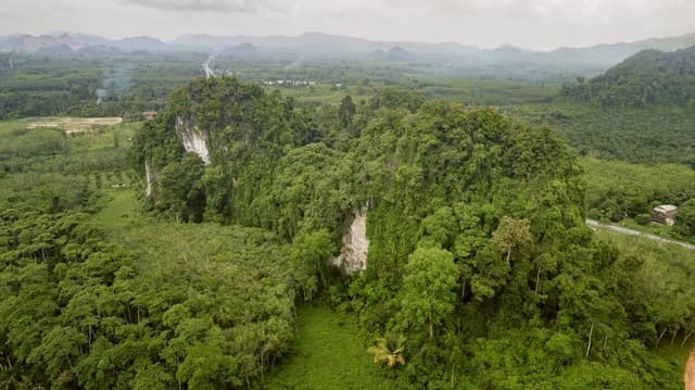 ขายที่ดิน จ.สตูล ทำเลดี ติดถนนใหญ่ ใกล้ธรรมชาติ ติดทางหลวง เดินทางสะดวก