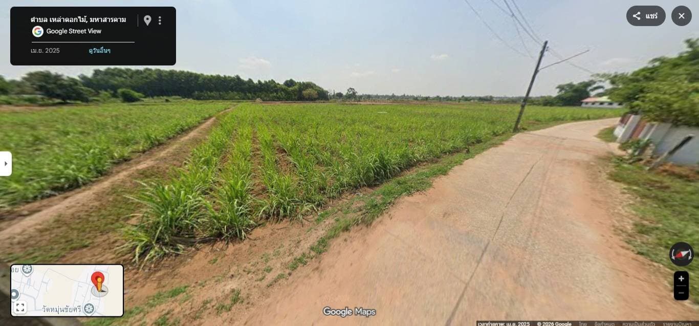 ขายที่ดินเปล่า ทำเลดี ตำบลเหล่าดอกไม้ อำเภอชื่นชมมหาสารคาม