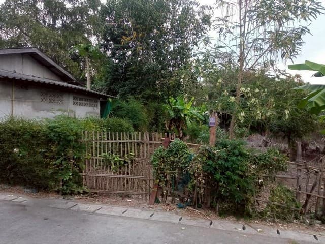ที่ดินทำเลดี ทำเลศักยภาพ เดินทางสะดวก บ้านแหวน หางดง