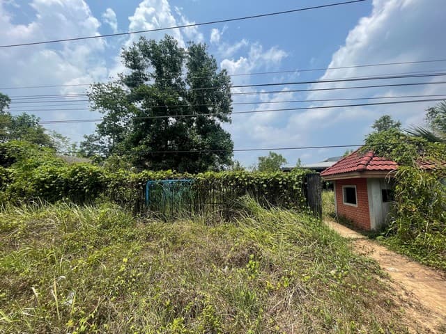 ขาย ที่ดินพร้อมสิ่งปลูกสร้าง อำเภอคุระบุรี พังงา ห่างจาก โรงพยาบาลคุระบุรีชัยพัฒน์ 1.8 km.