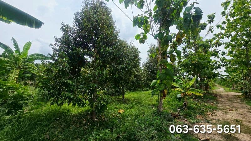 ขายที่เปล่า ที่สวนผสมผสาน ต.ป่าขะ อ.บ้านนา จ.นครนายก การเดินทางสะดวกสบาย เข้าจากถนนสี่เลนเส้นบ้านนาแก่งคอยเพียง 300 เมตรเท่านั้น
