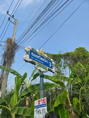 รหัส: - ประกาศขาย ที่ดิน - 23000 BAHT. ใหญ่ขนาด 200 SQ.WA 0 ngan 0 Rai ใกล้กับ โรงเรียนปทุมวิไล ศาลากลางปทุมธานี โลตัสปทุมธานี โรงพยาบาลปทุมธานี อยู่ย่านใจกลางเมืองปทุม เขตชุมชน ทำเลดี