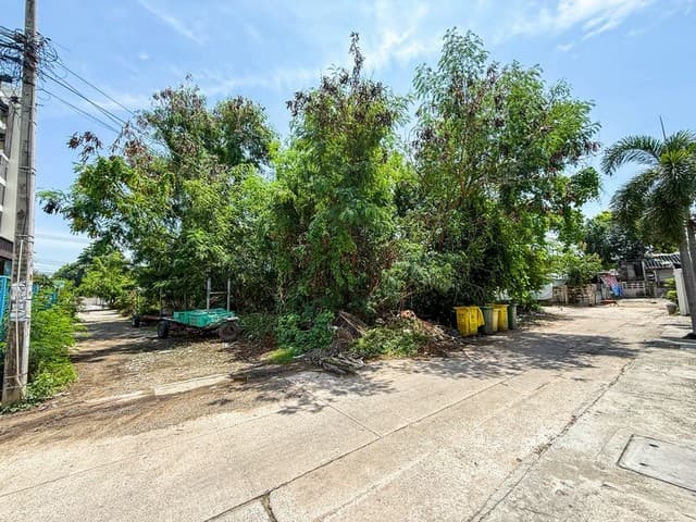 ขายที่ดินสวย บางแสน เขตชุมชน ราคาดี ใจกลางเมือง FP-L02147