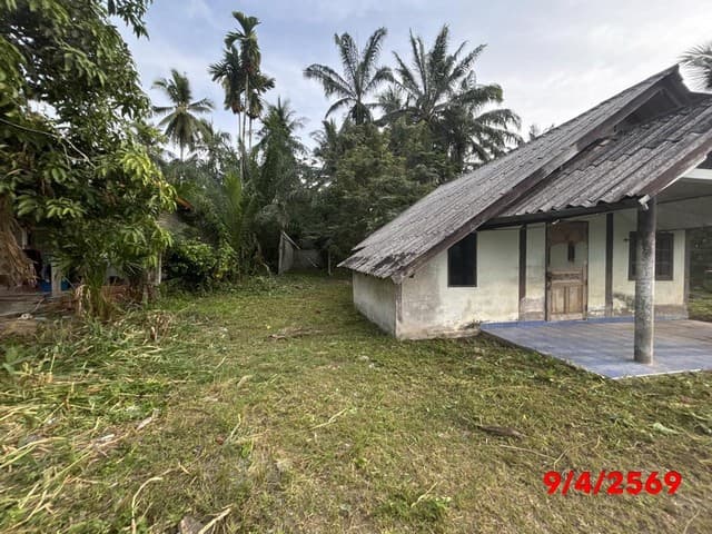 ขายบ้านเดี่ยวสุราษฎร์ธานี อำเภอชัยบุรี ถนน สายบ้านคลองศอก - บ้านคลองพัง ราคาโปรโมชั่น