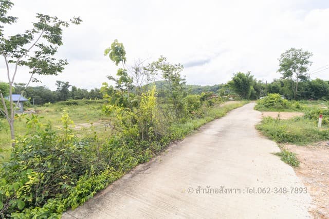 [ขาย] ที่ดินถมแล้ว นครนายก ติดน้ำ วิวสวย ทำบ้านสวนเกษตรในฝัน ใกล้กรุงเทพฯ ด่วน! ฟรีค่าโอน