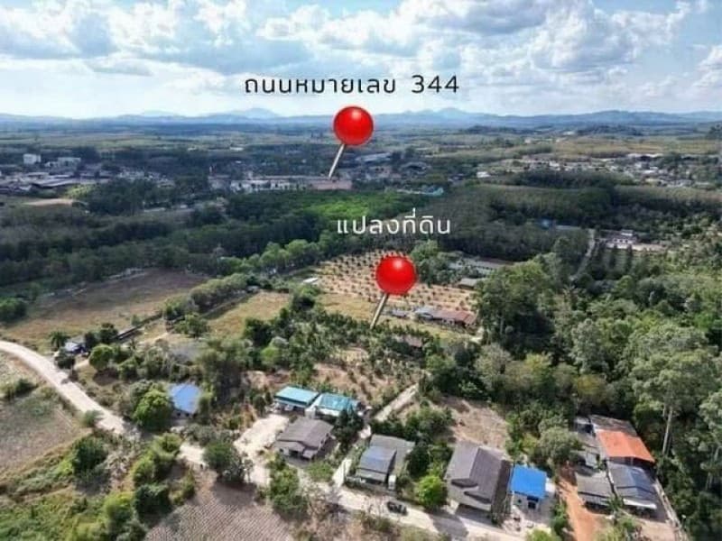 ขายที่ดิน พร้อมสวนทุเรียน พร้อมผลผลิต แกลง ระยอง 2 ไร่กว่า TP-L2344