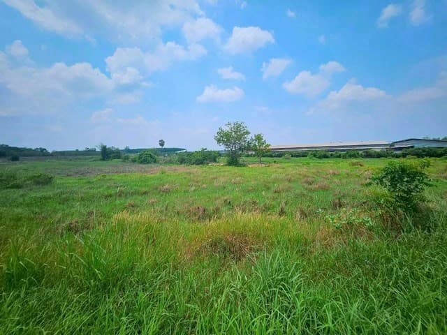ขายที่ดิน 25 ไร่ ผังม่วง โซนโรงงานอุตสาหกรรม แปลงยาว ฉะเชิงเทรา
