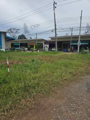 ขายด่วน ที่ดินติดถนนสาธารณะ ขนาด 2 งาน 95 ตร.วา ห่างจากถนนสุขุมวิทเพียง 850 เมตร เหมาะซื้อไว้ปลูกบ้านพักอาศัย ทำธุรกิจขนาดเล็ก | 93362