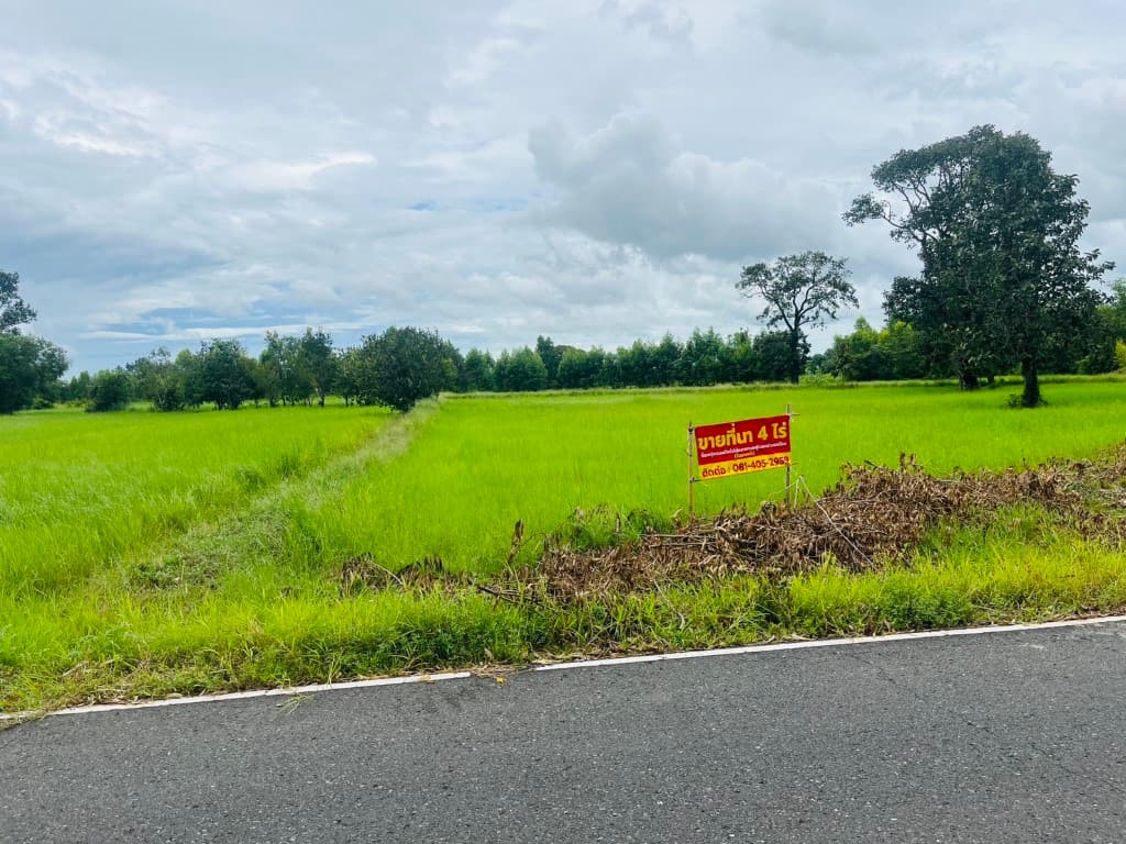 ขายถูกมาก!! ที่ดิน 4 ไร่ ติดถนน ทำเลดี อ.เมือง จ.ศรีสะเกษ ใกล้แม็คโคร โลตัส  ม.เฉลิมกาญจนา ฯ 3