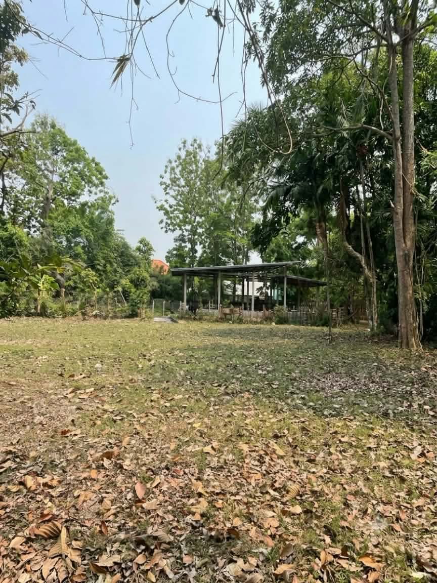 ทีดินติดโรงเรียนโพนงามศึกษา 2