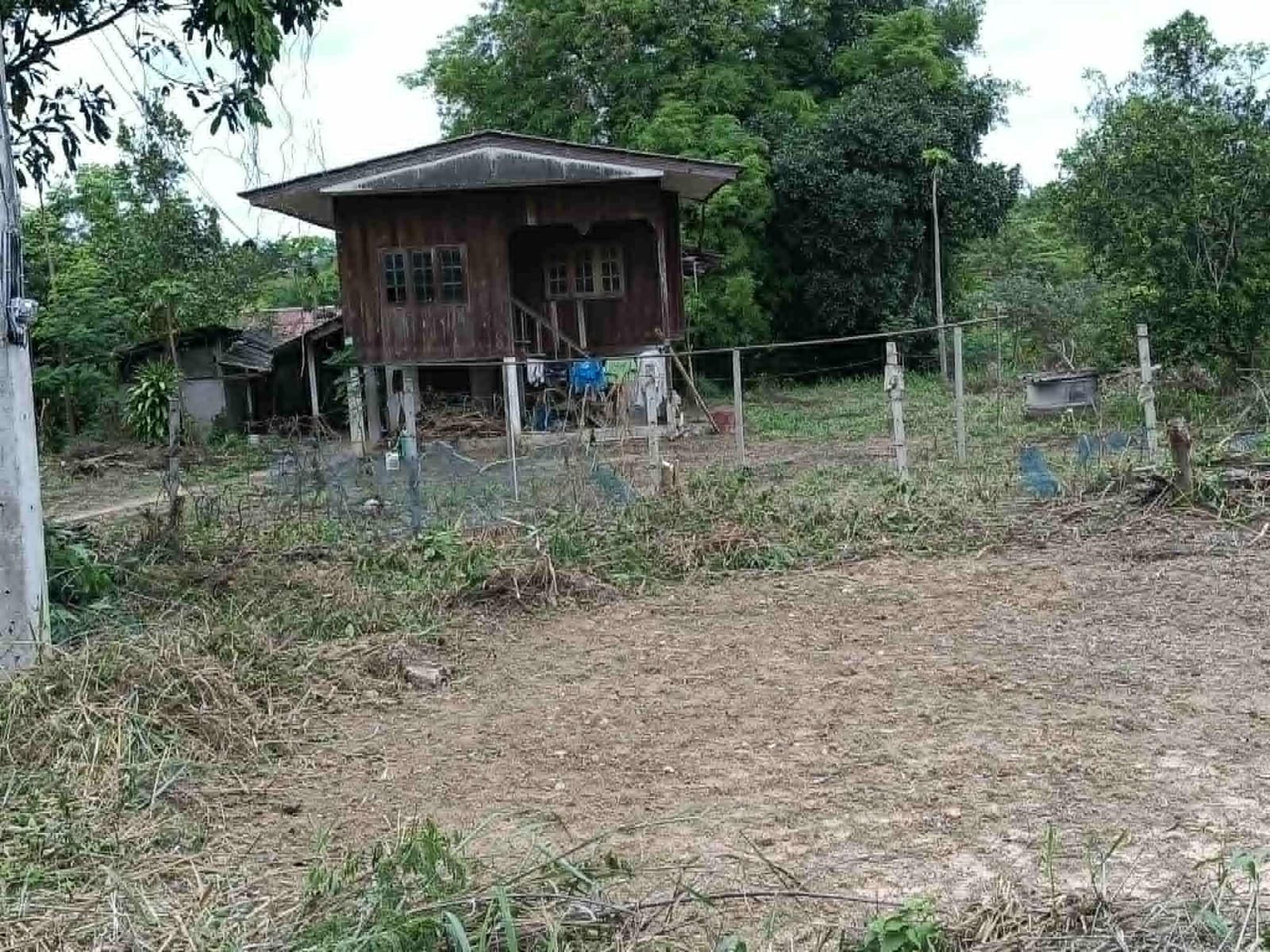 ขายที่ดิน (แถมบ้านไม้) ราคานี้ไม่มีอีกแล้ว 4