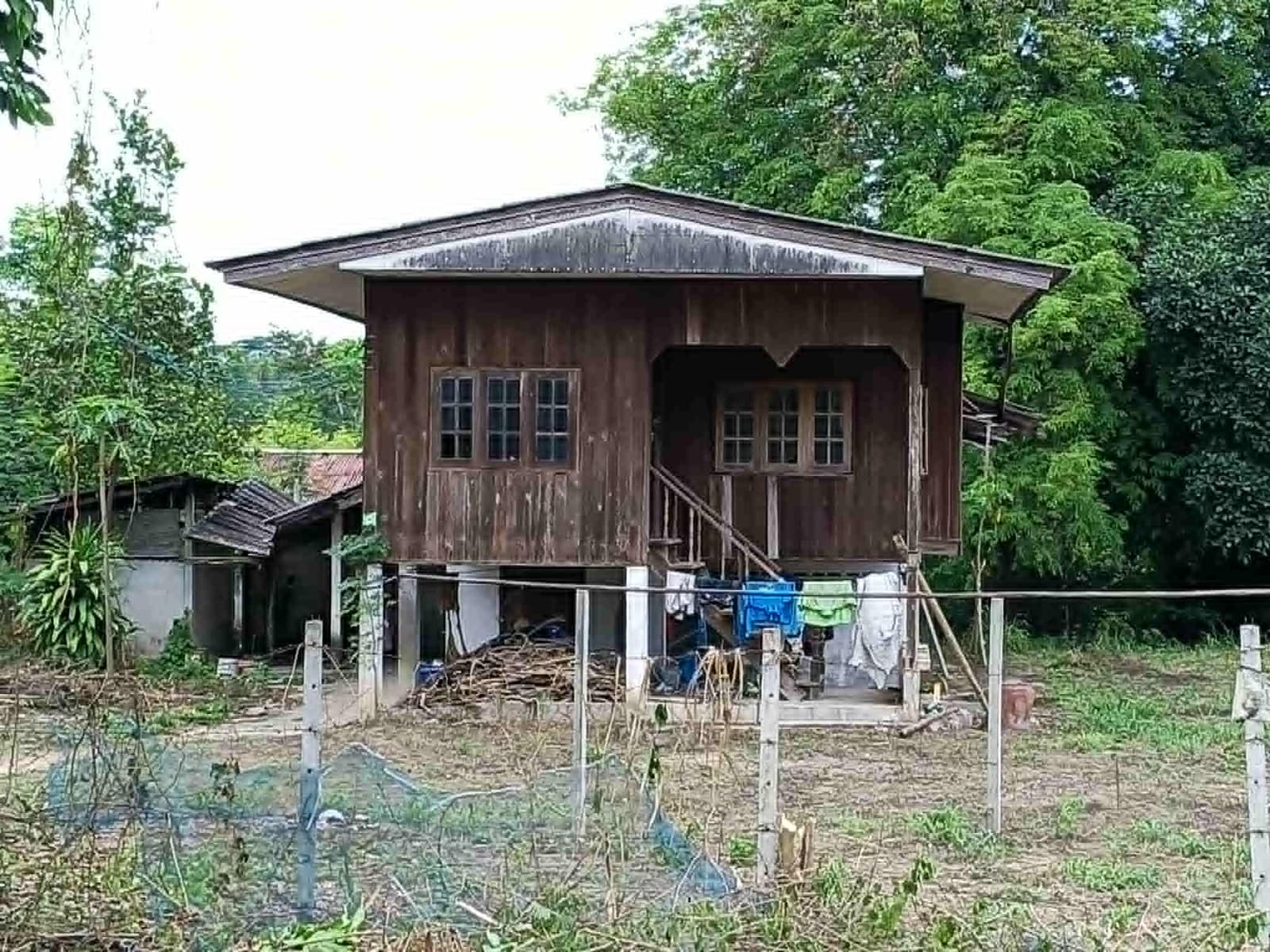 ขายที่ดิน (แถมบ้านไม้) ราคานี้ไม่มีอีกแล้ว