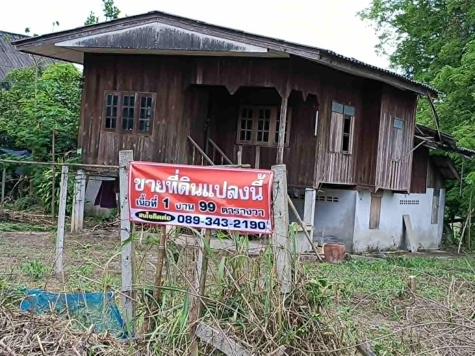 ขายที่ดิน (แถมบ้านไม้) ราคานี้ไม่มีอีกแล้ว 3