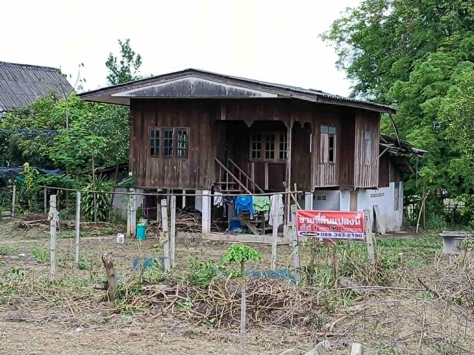 ขายที่ดิน (แถมบ้านไม้) ราคานี้ไม่มีอีกแล้ว 5