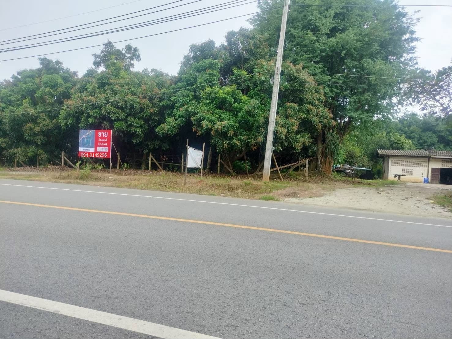 🏡ขายที่ดิน แม่แตงเชียงใหม่ ติดถนนหลัก แม่แตง-ปาย  พร้อมสวนยางพารา สวนลำใย พื้นที่ 31-3-44 ไร่ 3