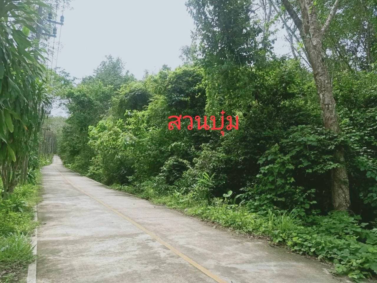ขายที่ดินบนเกาะ สวยมากๆที่ราบเชิงเขา มีจุดชมวิวทะเล   เหมาะสำหรับพัฒนาเป็น บ้านพักอาศัย, บังกะโล, วิลล่า หรือรีสอร์ท  มี 6