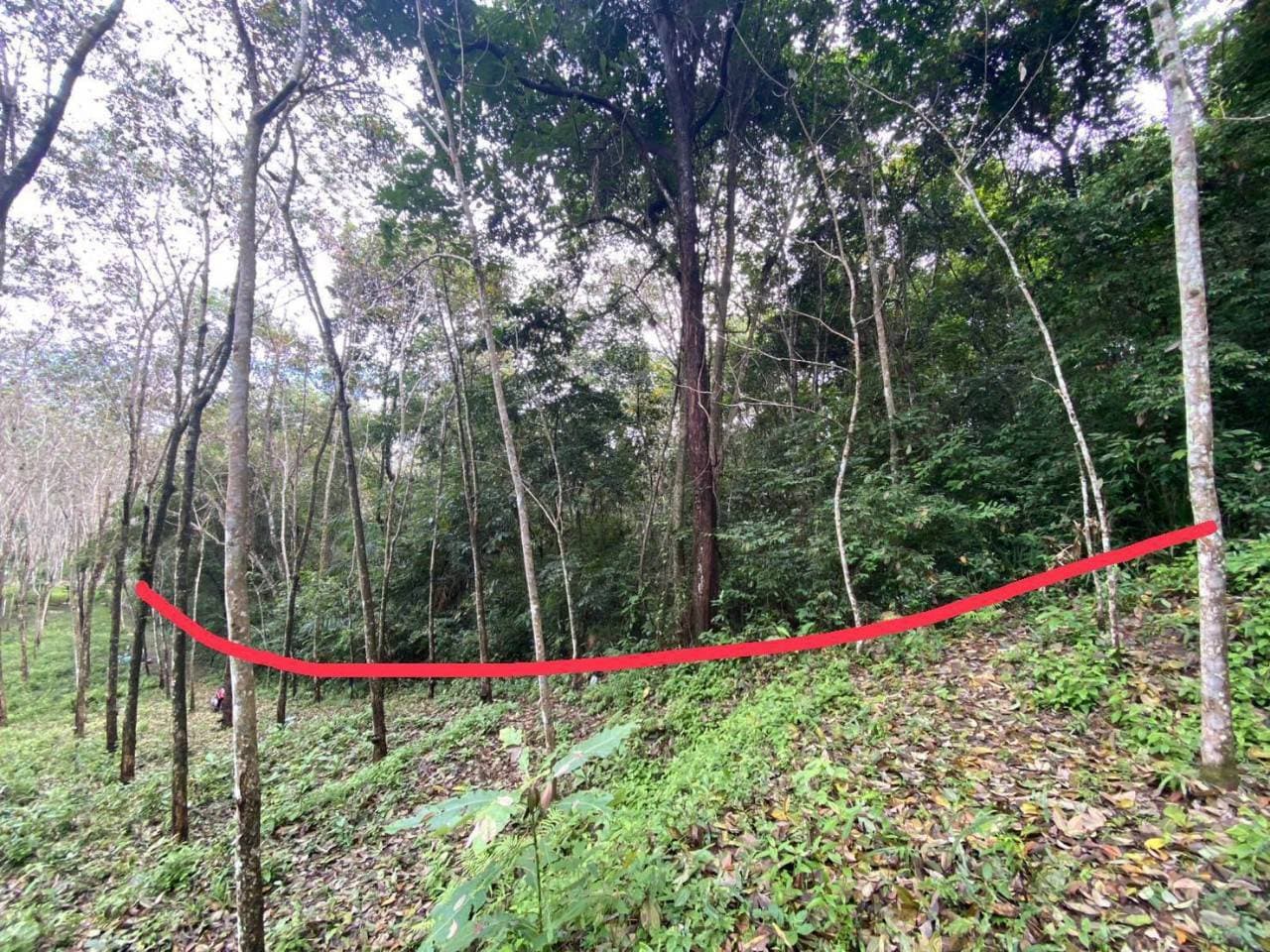 ขายที่ดินบนเกาะ สวยมากๆที่ราบเชิงเขา มีจุดชมวิวทะเล   เหมาะสำหรับพัฒนาเป็น บ้านพักอาศัย, บังกะโล, วิลล่า หรือรีสอร์ท  มี