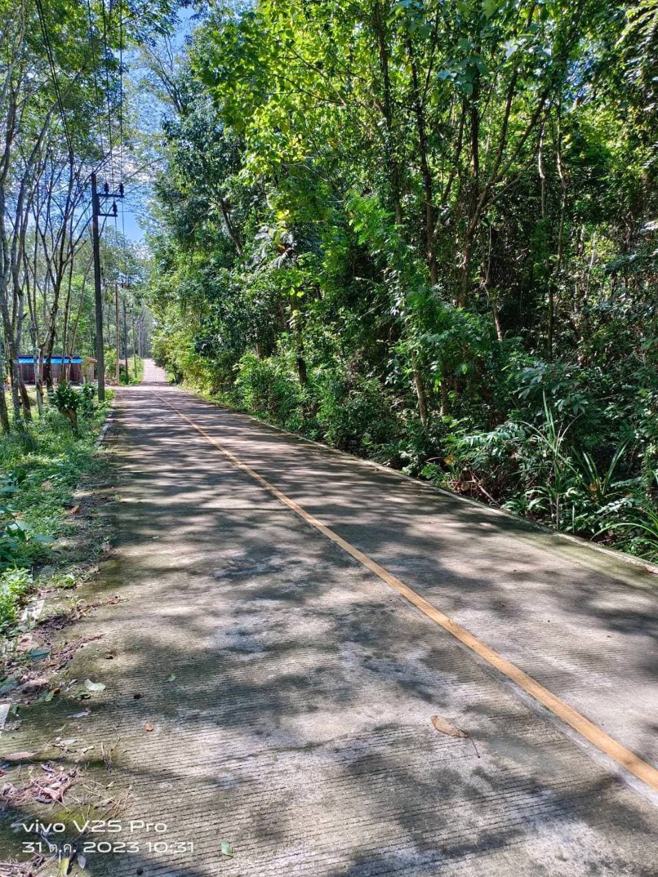 ขายที่ดินบนเกาะ สวยมากๆที่ราบเชิงเขา มีจุดชมวิวทะเล   เหมาะสำหรับพัฒนาเป็น บ้านพักอาศัย, บังกะโล, วิลล่า หรือรีสอร์ท  มี 5