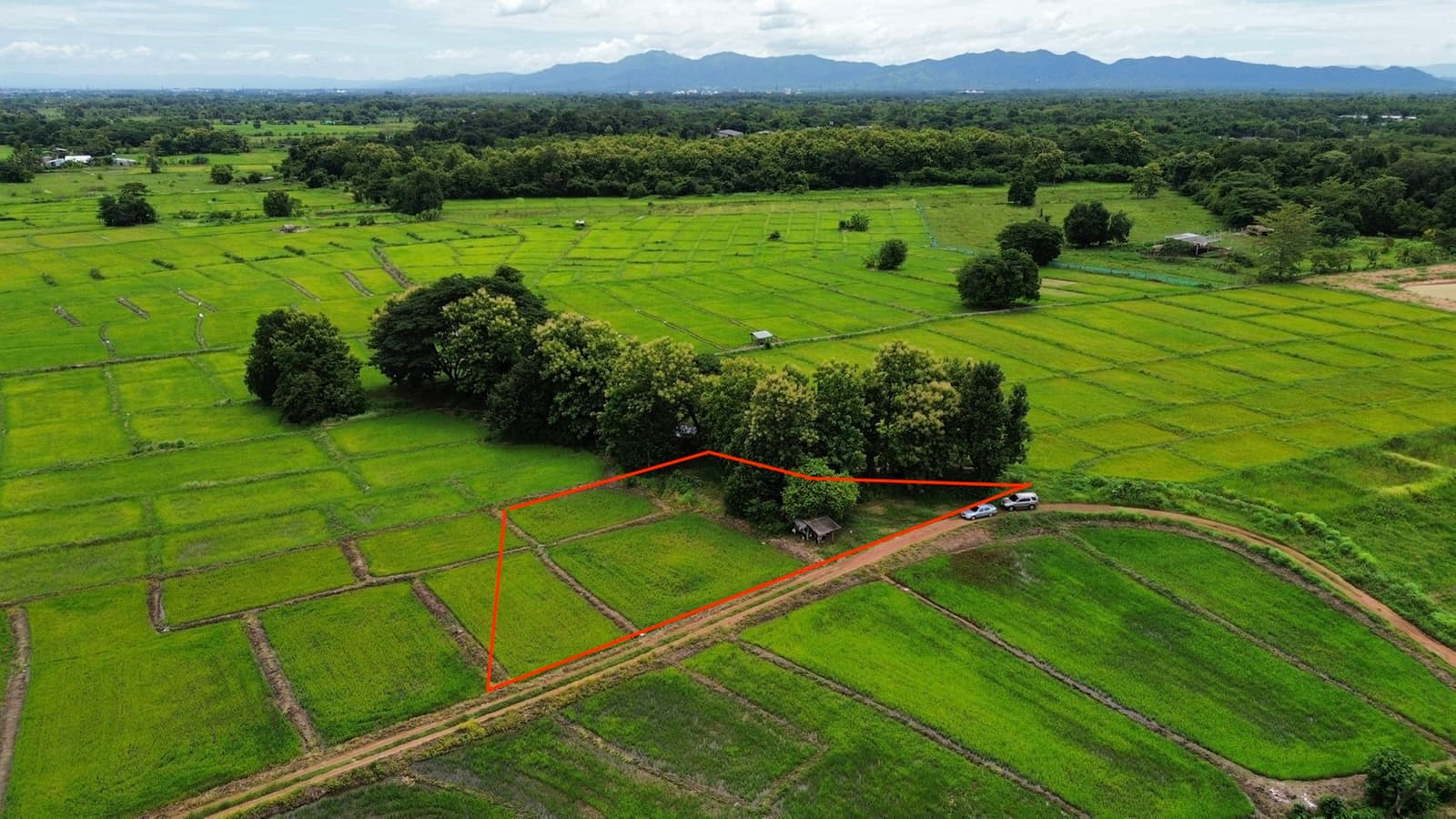 ขายด่วน! ที่ดิน อ.เมืองลำปาง 1 ไร่ 61 ตร.ว. เพียง 350,000 บ. #ฟรีค่าโอน ต่ำกว่าราคาประเมิน ติดทางสาธารณะและลำเหมือง 2
