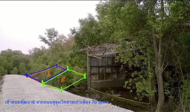 ขายที่ดินเปล่า นส4 มี2แปลง 68,69 ตรว. ล้านต้นๆ ที่ดินห่างจากถนน 4