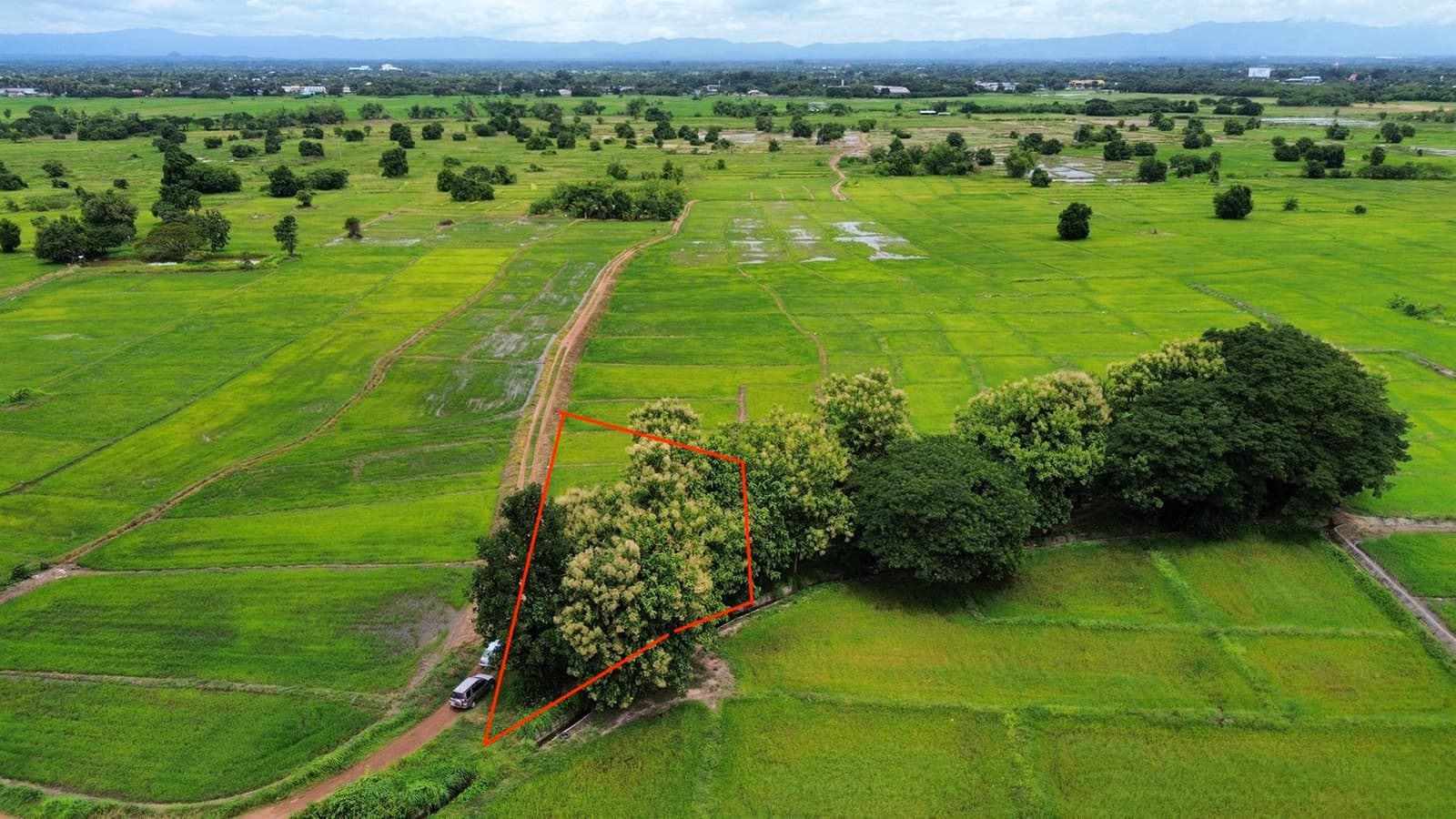 ขายด่วน! ที่ดิน อ.เมืองลำปาง 1 ไร่ 61 ตร.ว. เพียง 350,000 บ. #ฟรีค่าโอน ต่ำกว่าราคาประเมิน ติดทางสาธารณะและลำเหมือง