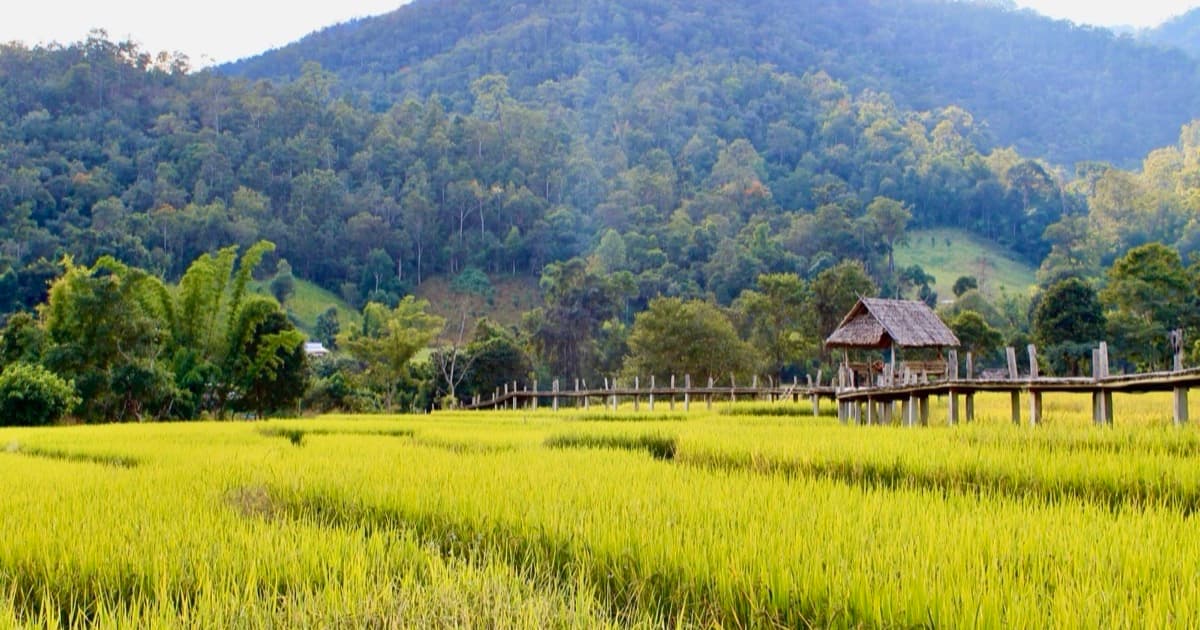 ทุ่งนาและภูเขาในชนบทไทย แปลงที่ดินที่ต้องตรวจเอกสารสิทธิ์ก่อนซื้อขาย