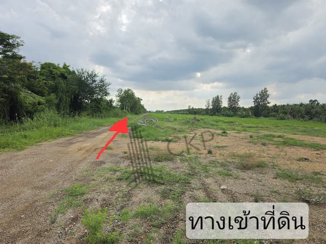 บ้านเดี่ยว2 ชั้น มบ.อัมพรเพลส ศรีราชา บ้านรีโนเวทใหม่ TP-H1345