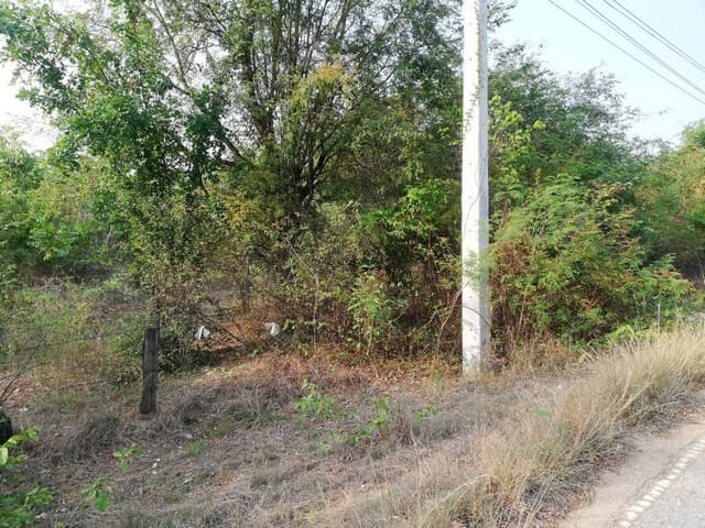 ทำเลเงื่อนไขซื้อขายสิ่งสำคัญ ขายที่สวยติดทางหลวง1107 บ้านตาก จ.ตาก คมนาคมสะดวก ไร่ละ 300000 ต.ตากตก อ.บ้านตาก จ.ตาก 0837124115