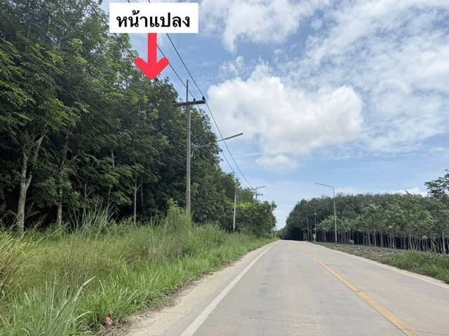 ให้เช่าบ้านเดี่ยว 2ชั้น มบ.ฐานทอง Renovate ใหม่ เฟอร์ครบ เฉลิมพระเกียรติ ร.9 ซอย54 เนื้อที่ 65 ตรม บ้านตกแต่งครบ รีโนเวมใหม่ พร้อมอยู่