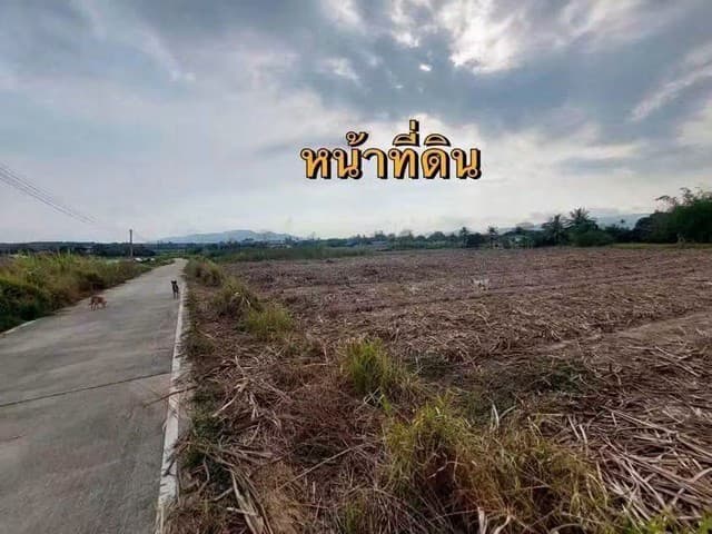 เช่า RR087 THE LINE Jatujak - Mochit ห้อง 26.5 ตรม. 1ห้องนอน 1ห้องน้ำ