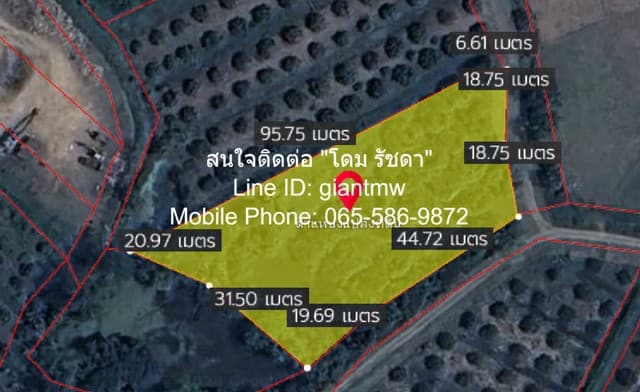 ID : DSL-362 ขายด่วน ๆ ที่ดิน ขายที่ดินสวนลำไย ต.ขุนดง อ.หางดง จ.เชียงใหม่ (น.ส.4 จ) ถูกสุด