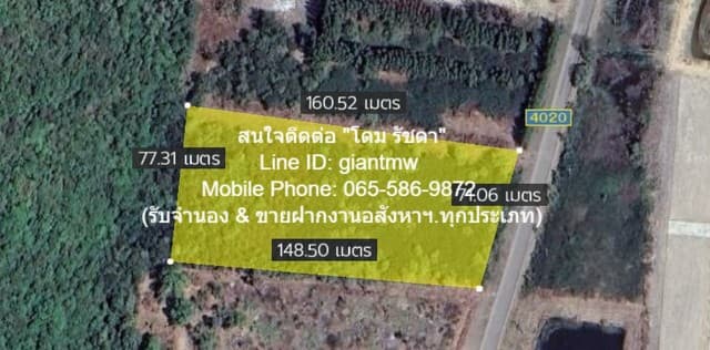 ที่ดิน ที่ดิน สามร้อยยอด ราคาต่ำกว่าตลาด ติดเขา, ติดถนน และไม่ห่างจากชายทะเล (อากาศดีตลอดปี)