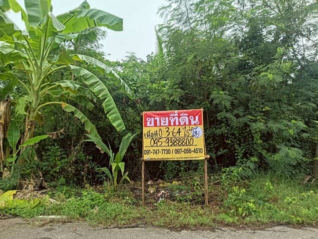 ขายที่ดิน 364 ตร.ว. ทำเลสวย ธรรมชาติ รมรื่น ปลายโพงพาง อัมพวา สมุทรสงคราม ZW615