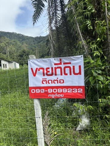 ขายด่วนที่ดิน ซอย 7 ท่อ อำเภอเมือง จังหวัดระนอง เนื้อที่ 6 ไร่ ท่ามกลางธรรมชาติ