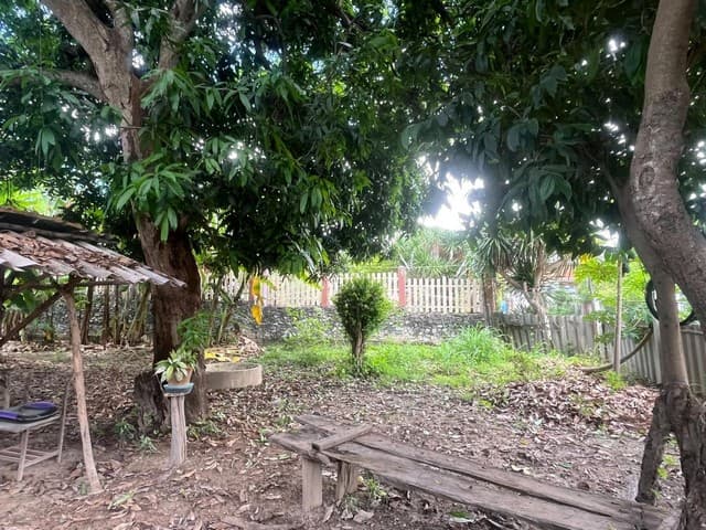 ขายที่ดิน 148 ตรว. ใกล้ถนนสุขุมวิทราคาถูก ทำเลทอง – พลูตาหลวง สัตหีบ