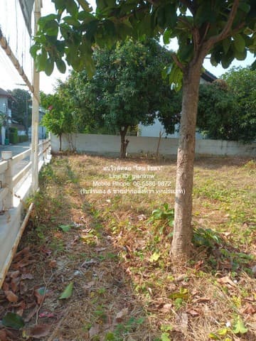 FOR SALE ที่ดิน ขายที่ดินเปล่าถมแล้ว ซ.ลาดพร้าว 94 (ตรงข้ามห้างอิมพิเรียล เวิลด์ ลาดพร้าว) 88 ตร.ว. ราคา 15 ล้านบาท (โอนฟรี) 88 ตาราง.วา 12500000 บ. ใกล้กับ บิ๊กซี ลาดพร้าว 1 และห้างอิมพิเรียล เวิลด์ ลาดพร้าว โครต-ถูก