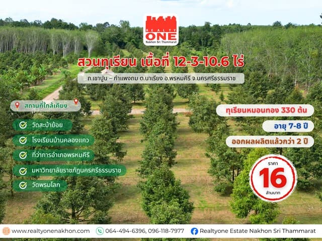 สวนทุเรียนหมอนทอง จำนวน 330 ต้น อายุ 7– 8 ปี เริ่มให้ผลผลิตแล้ว 2 ปี เนื้อที่ 12-3-10.6 ไร่