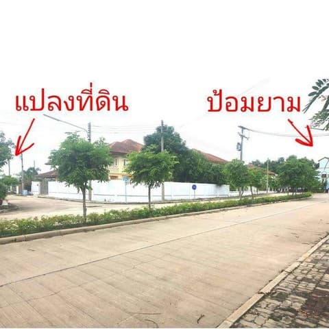 ที่ดินแปลงมุม ในหมู่บ้าน ขายถูก ราคาต่ำกว่าประเมินกรมที่ดิน เหมาะปลูกบ้านอาศัย