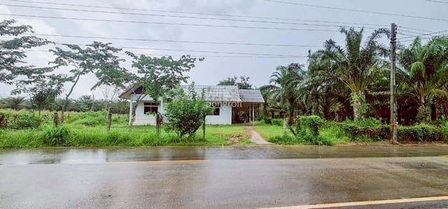 ที่ดิน 54 ไร่ 139 ตร.ว มีครบ! สวนยาง–สวนปาล์ม–บ้าน–น้ำใช้ตลอดปี จ.สระแก้ว