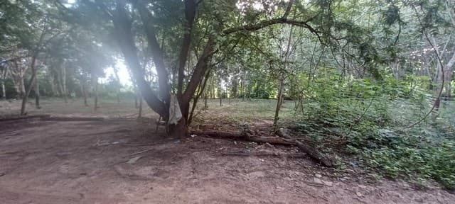 ที่ดินวิวแม่น้ำโขง บ้านผาแปน เชียงคาน – ทำเลทองสำหรับรีสอร์ตหรือบ้านพักตากอากาศ