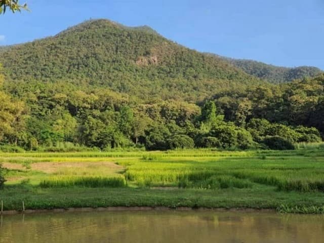ที่ดินแปลงสวย ขายยกแปลง ออนใต้ สันกำแพง