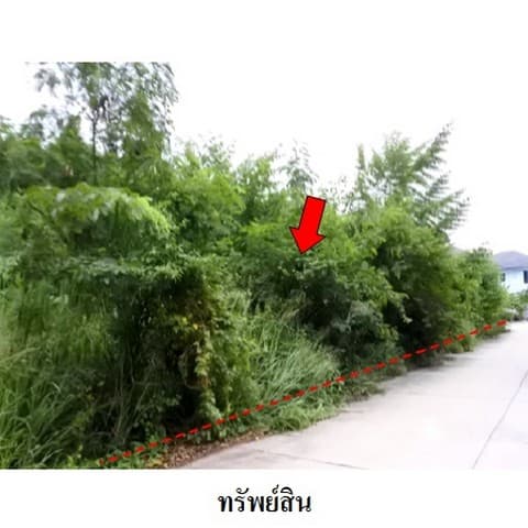 ขายที่ดินว่างเปล่าโครงการ สวนวลีแลนด์ 4 ถ.สายบางละมุง-ระยอง ทับมา เมืองระยอง ระยอง